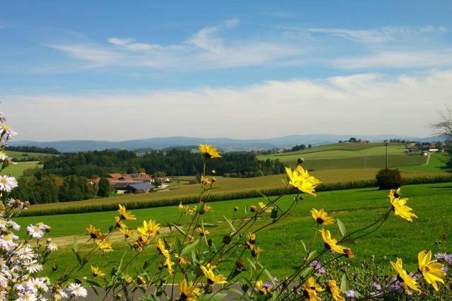 Tittling Ferienwohnung Im Bayerischen Wald מראה חיצוני תמונה