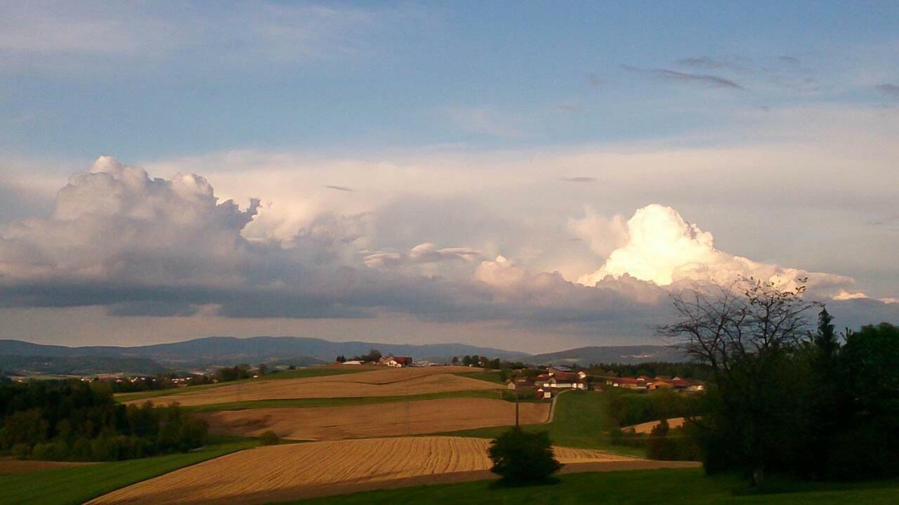 Tittling Ferienwohnung Im Bayerischen Wald מראה חיצוני תמונה